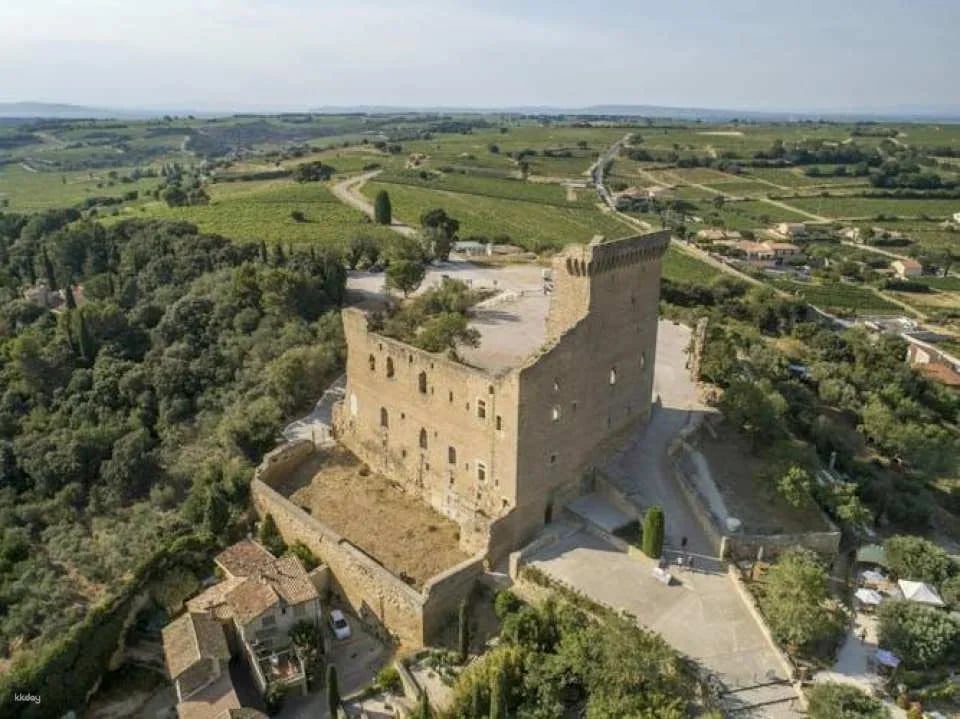 Morning Wine Tour to Châteauneuf-du-Pape from Avignon