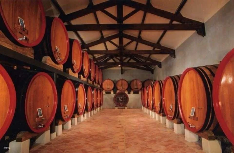 Morning Wine Tour to Châteauneuf-du-Pape from Avignon