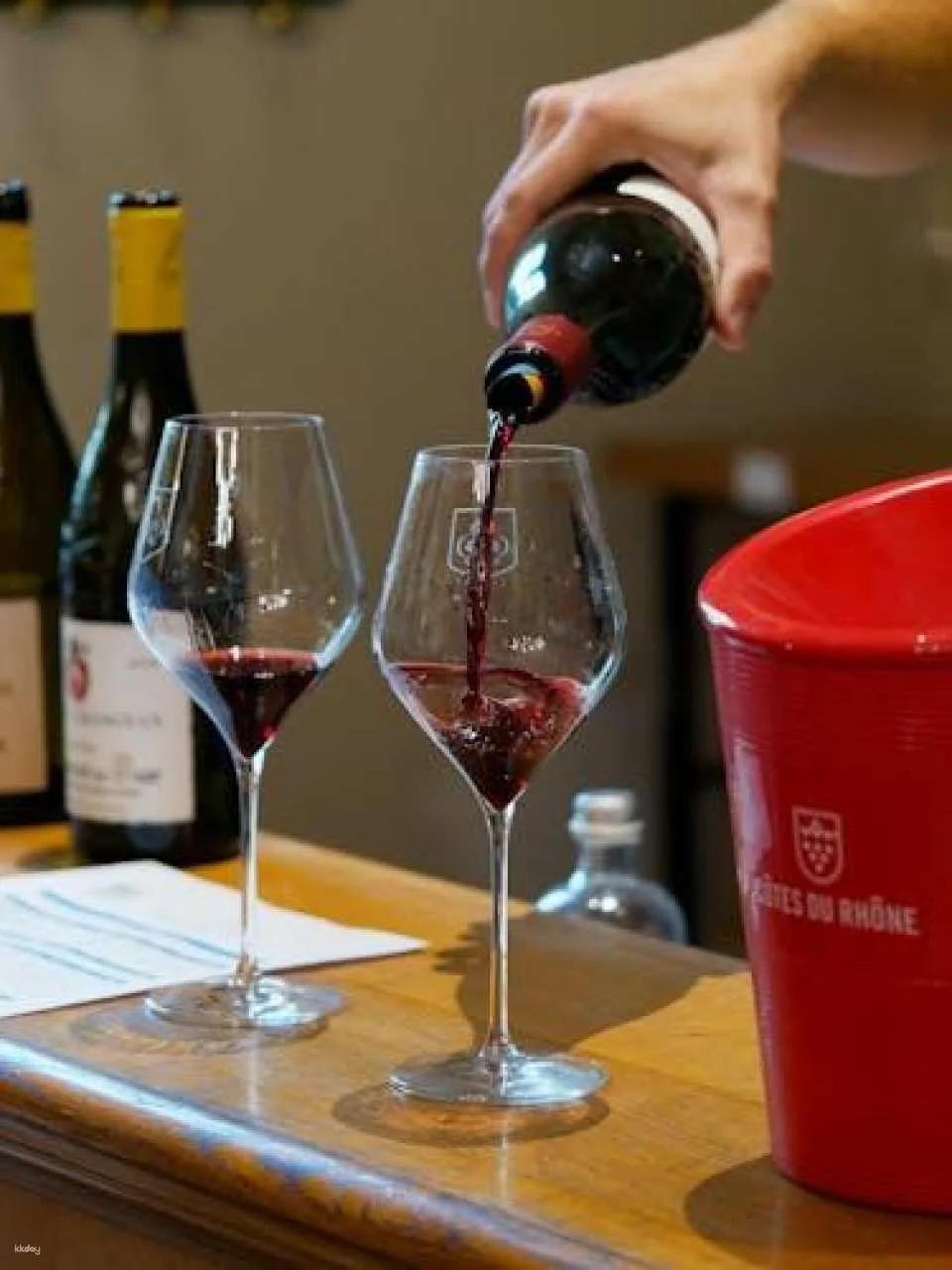 Morning Wine Tour to Châteauneuf-du-Pape from Avignon