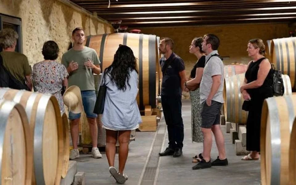 Morning Wine Tour to Châteauneuf-du-Pape from Avignon
