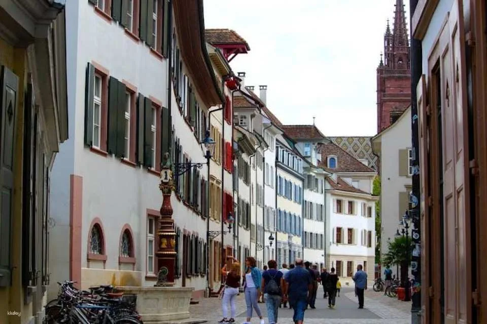 Private walking tour of Basel with local expert guide