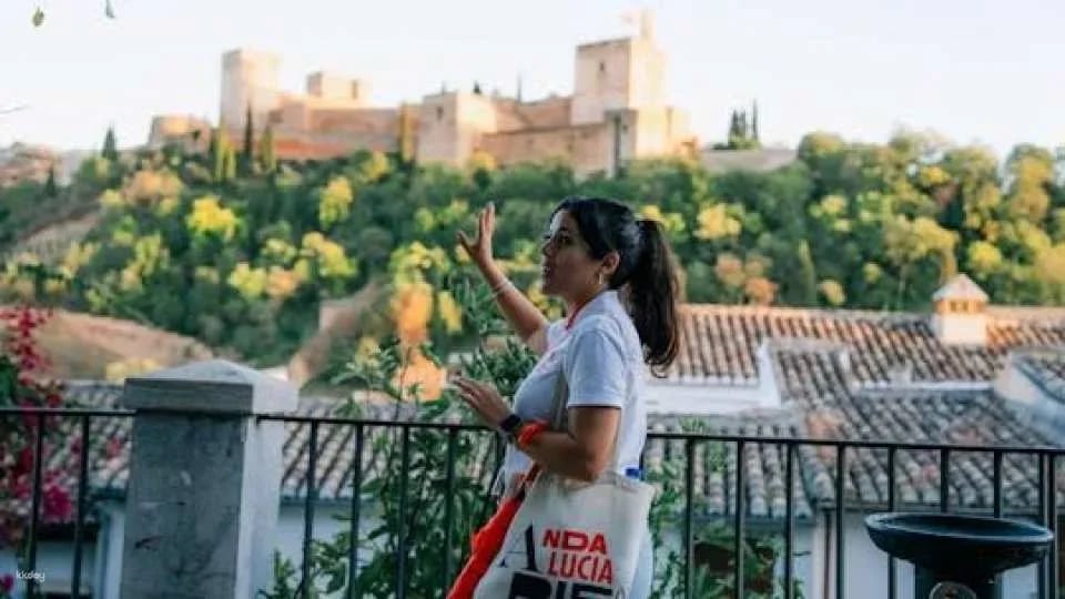 Alhambra, Albaicín and Sacromonte guided tour