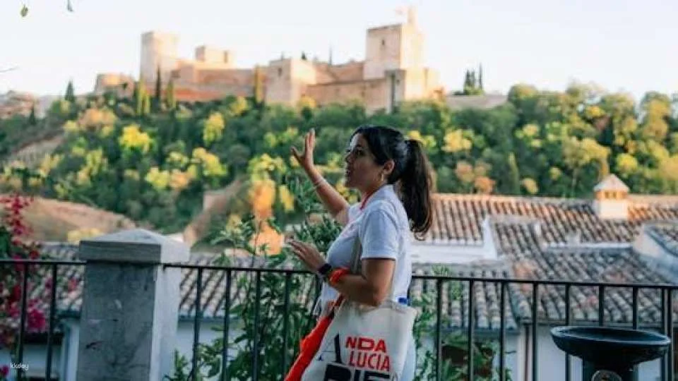Alhambra, Albaicín and Sacromonte guided tour