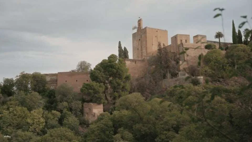 Alhambra, Albaicín and Sacromonte guided tour