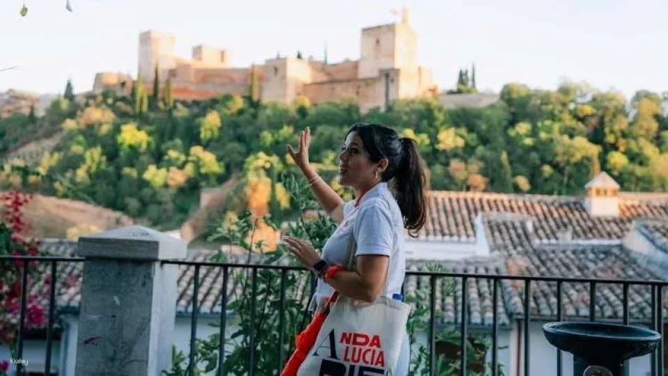 Alhambra, Albaicín and Sacromonte guided tour