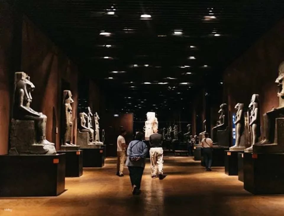 Egyptian Museum of Turin guided tour with skip-the-line tickets