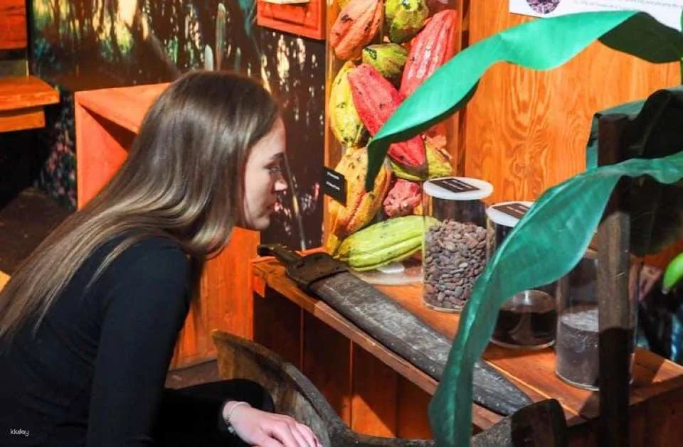 Chocolate Workshop at Choco Story Prague and Museum Entry