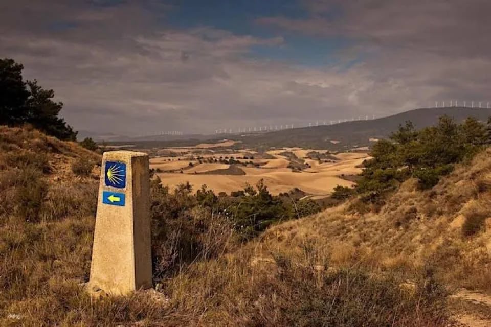 Santiago de Compostela guided tour from Porto