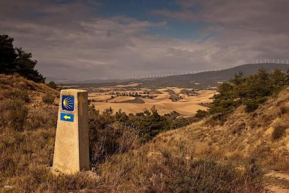 Santiago de Compostela guided tour from Porto