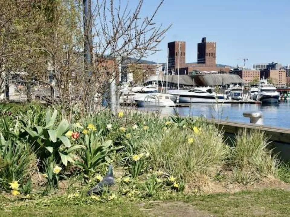Wellness and fjord life guided walking tour of Oslo