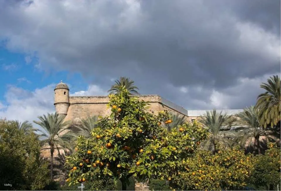 Palma de Mallorca: Small-Group Tour & Fast-Track Cathedral