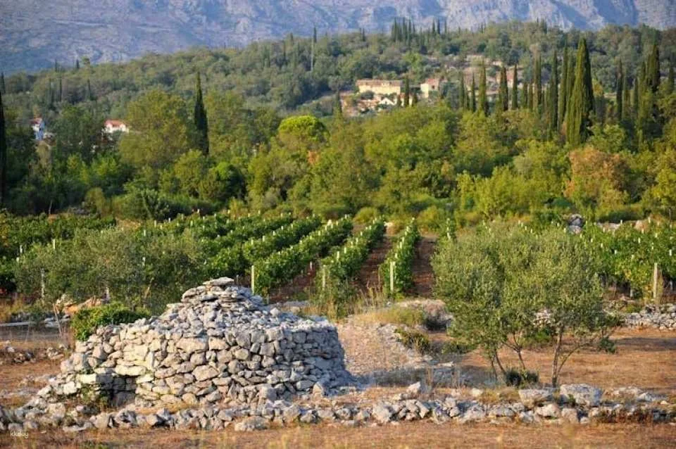 Konavle and Falcon Fortress half-day tour with lunch