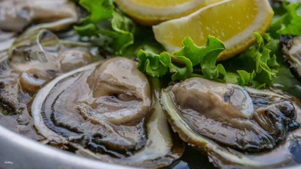 Half-day tour to Ston from Dubrovnik with oyster tasting