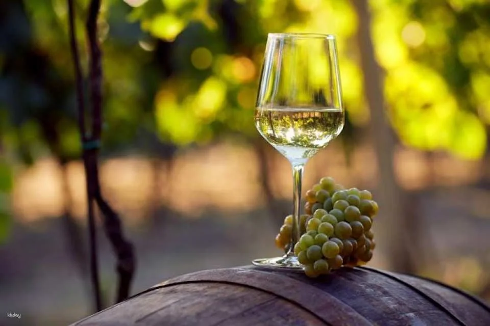 Half-day tour to Trebinje and Tvrdos Monastery with wine tasting