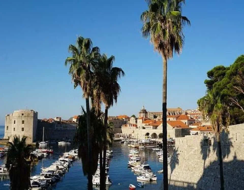 Dubrovnik one-hour guided walking tour in Spanish