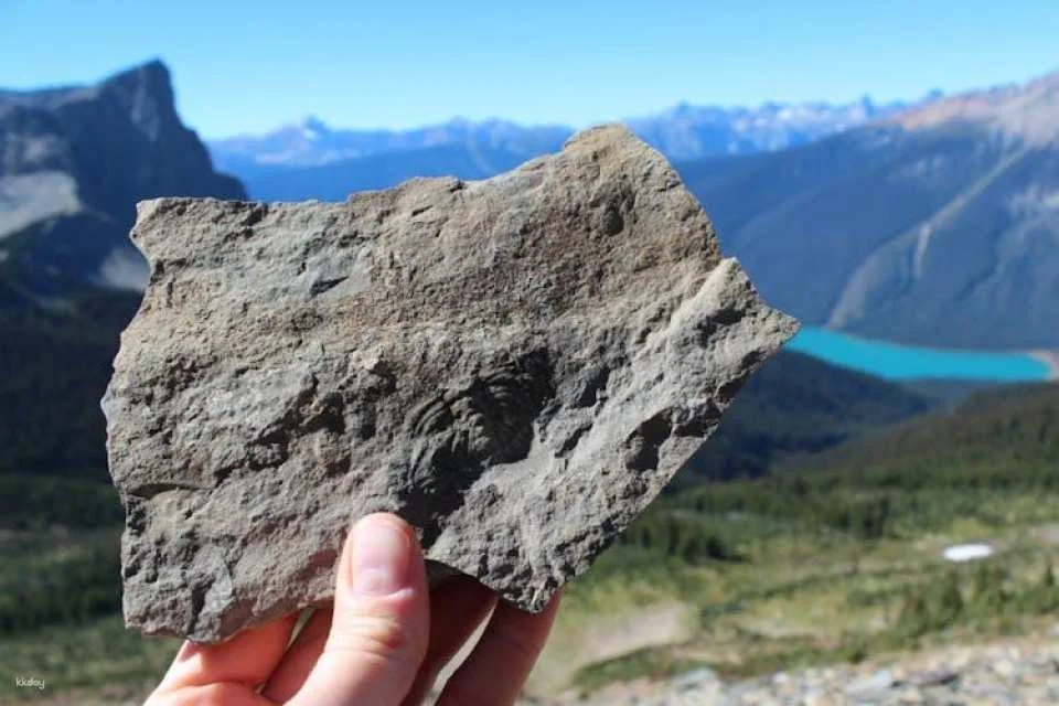 Yoho National Park self-guided driving audio tour