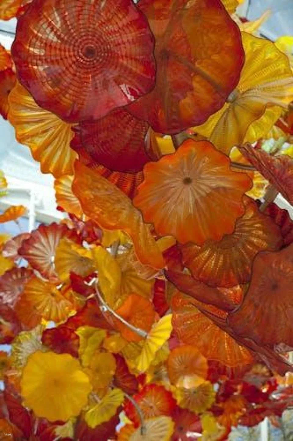 Seattle Space Needle plus Chihuly Garden and Glass combo ticket