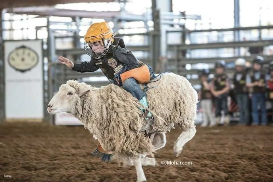 Saturday Night Rodeo General Admission Ticket