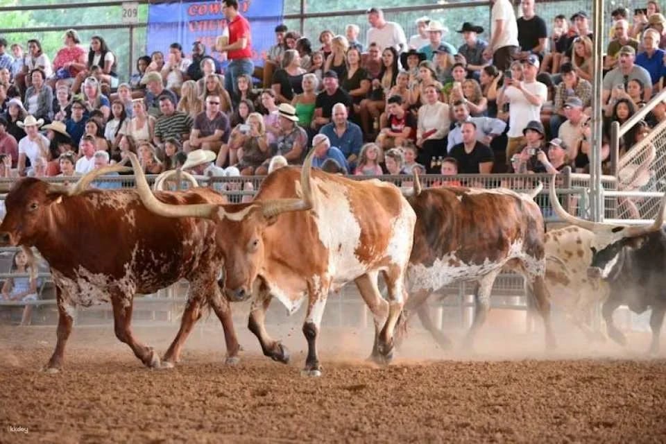 Saturday Night Rodeo General Admission Ticket