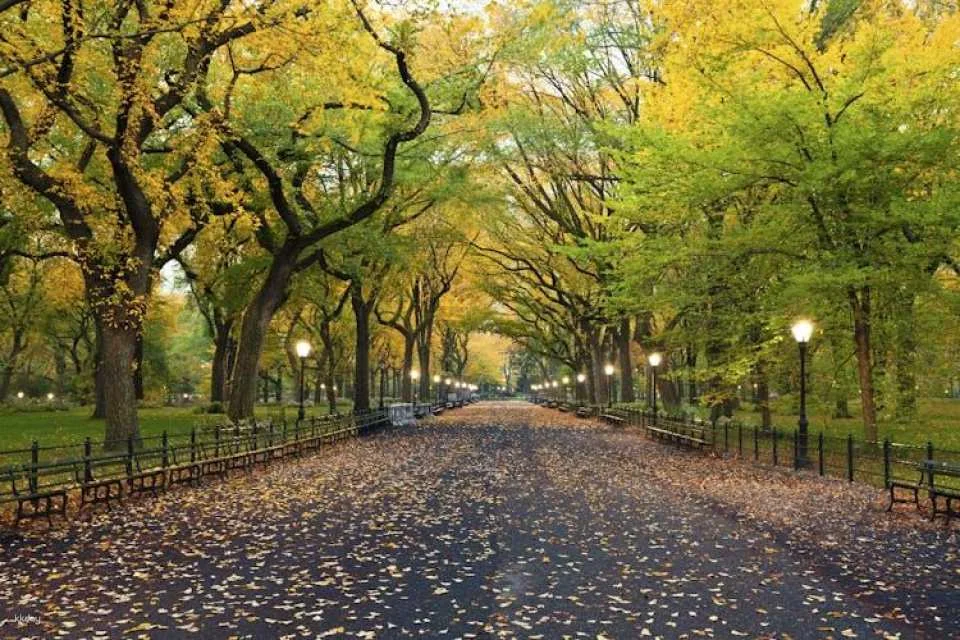 New York City highlights self-guided driving audio tour