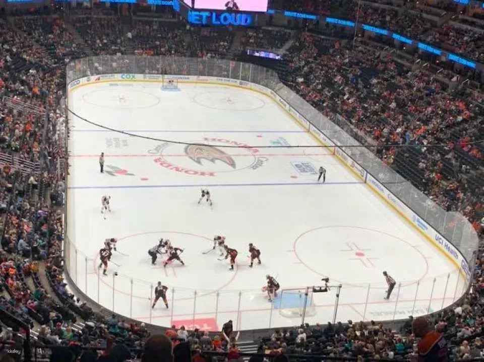 Anaheim Ducks ice hockey game ticket at Honda Center