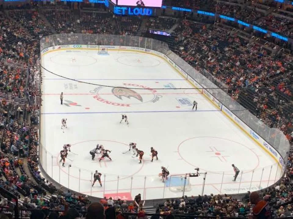 Anaheim Ducks ice hockey game ticket at Honda Center