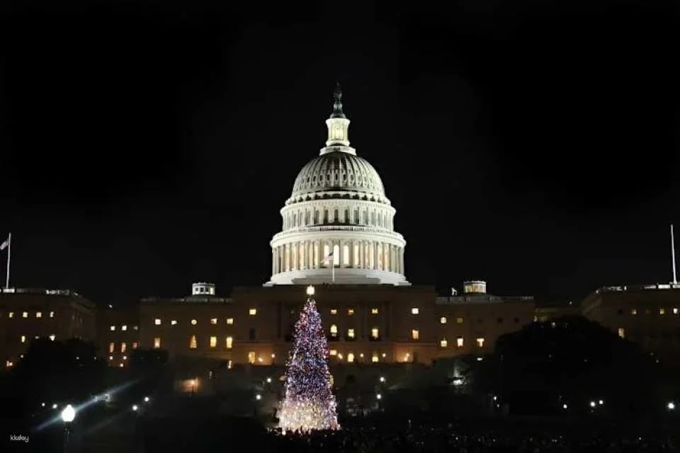 Washington DC night memorials walking tour with skyline view