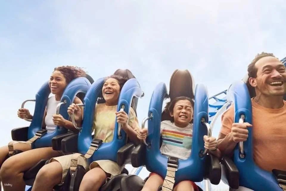 California's Great America One Day Ticket