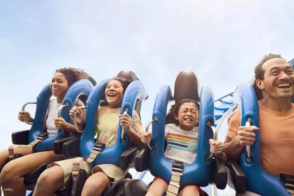 California's Great America One Day Ticket