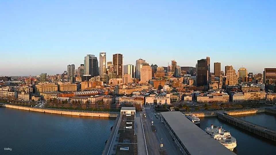St Lawrence River cruise and Port of Montréal Tower entry ticket
