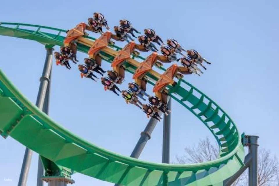 Kings Dominion One Day Ticket