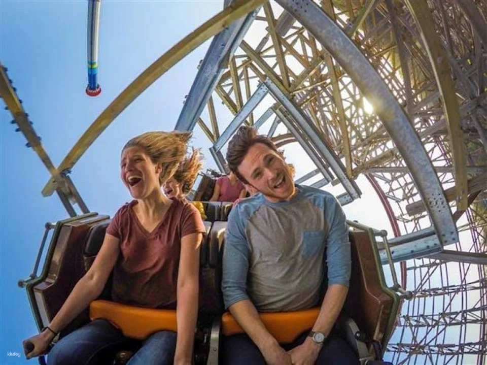 Kings Dominion One Day Ticket