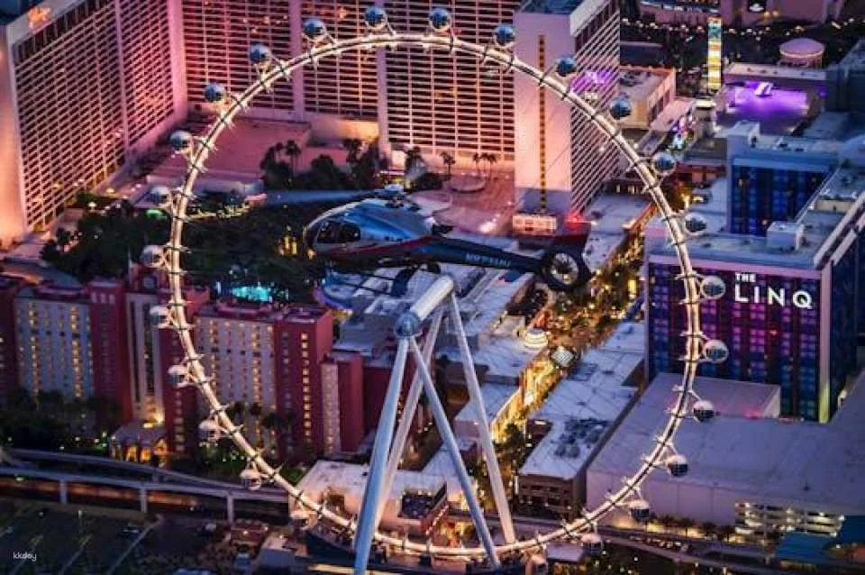 Neon and Nature tour of Las Vegas