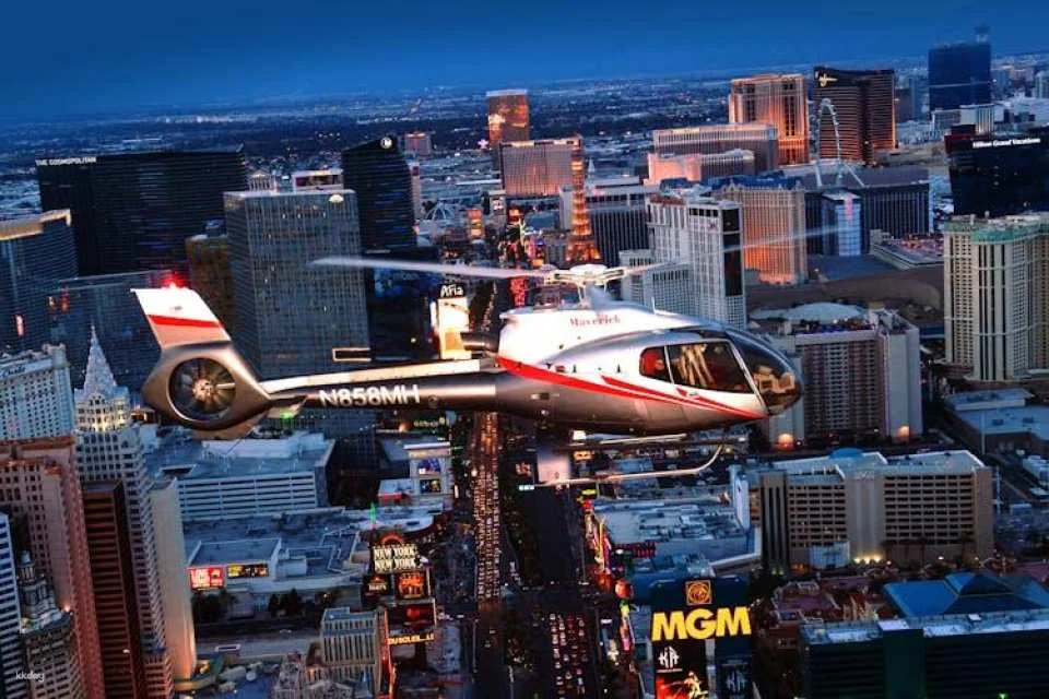 Neon and Nature tour of Las Vegas