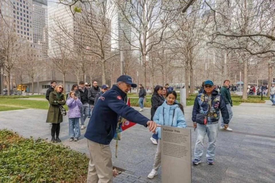 Half-day guided bus tour of New York City's landmarks