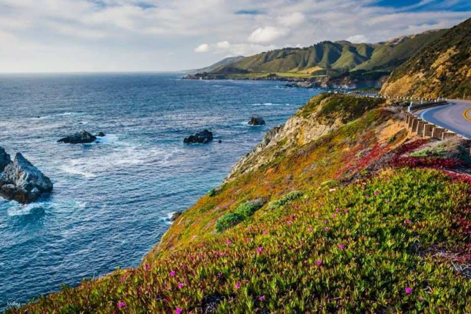 Big Sur California Pacific Coast Highway self-drive tour