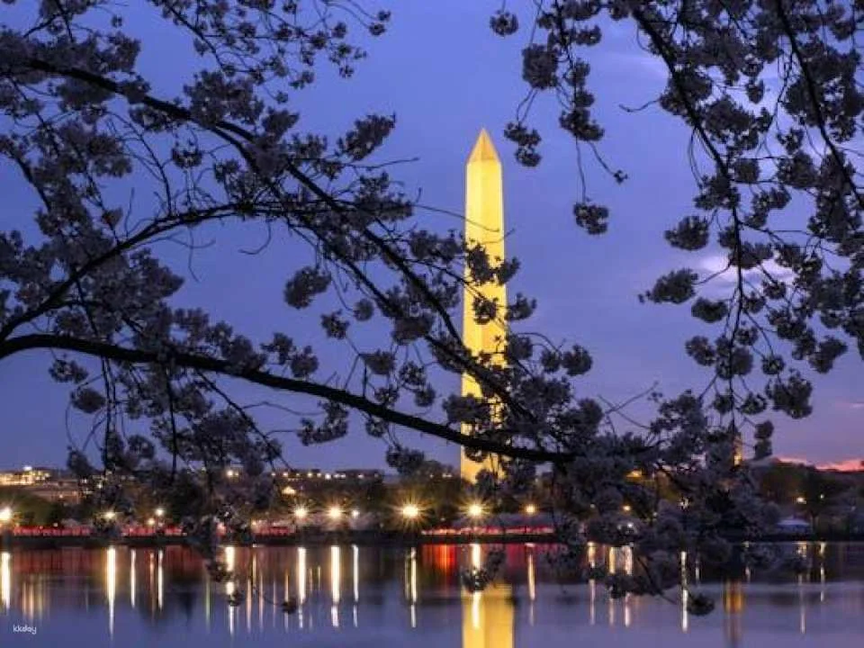 DC Monuments night tour with 10 stops and cherry blossoms