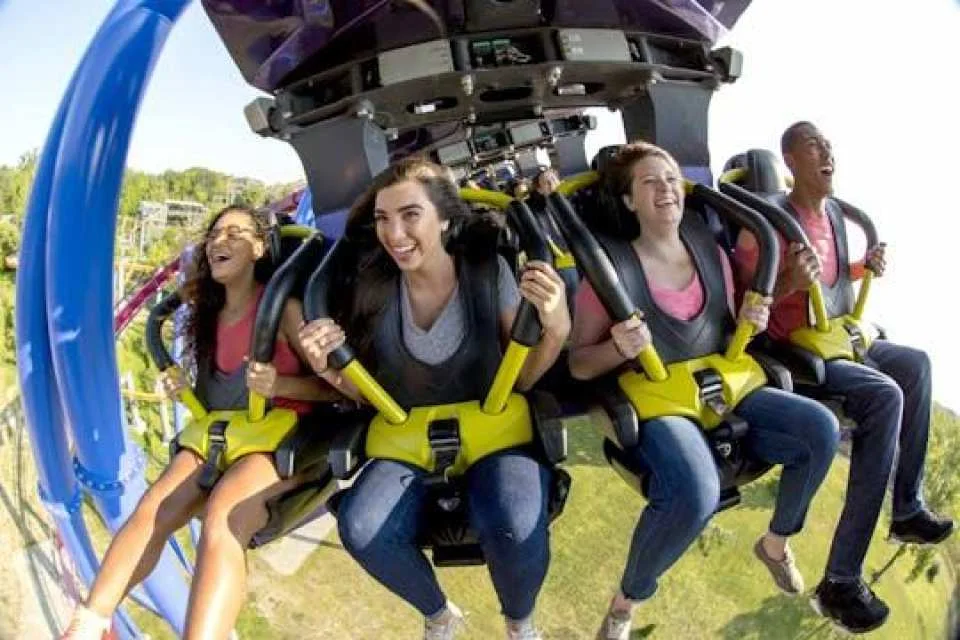Kings Island One Day Ticket