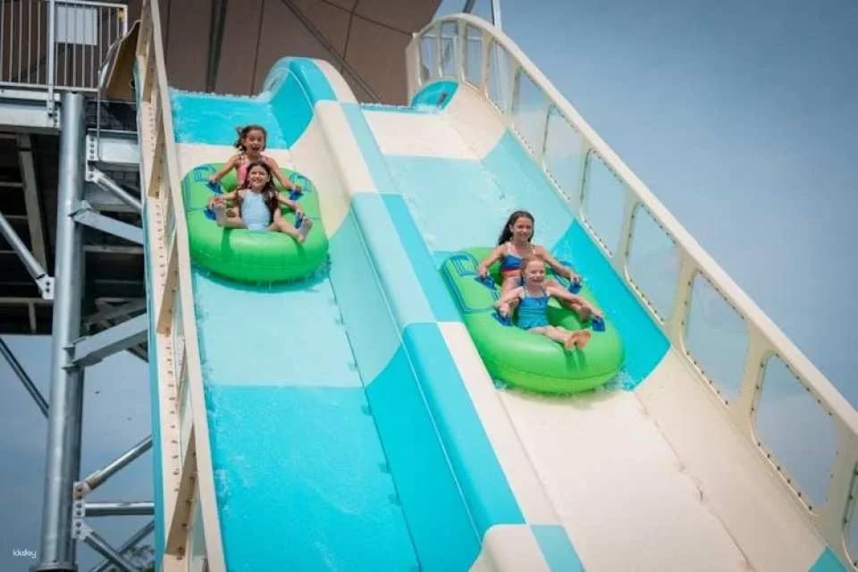 Kings Island One Day Ticket