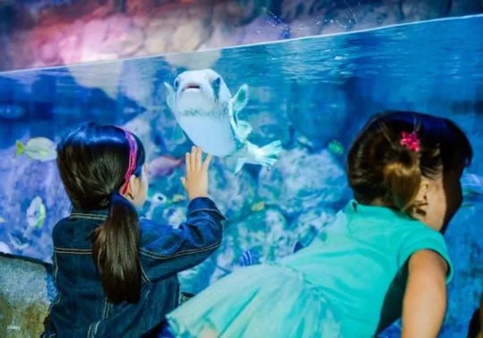 SEA LIFE Aquarium San Antonio tickets