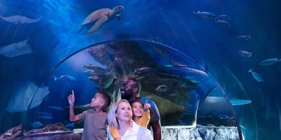 SEA LIFE Aquarium San Antonio tickets