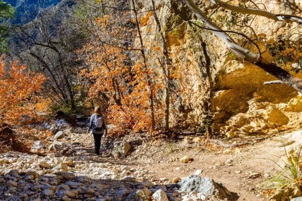 Guadalupe Mountains National Park self-guided driving and walking tour