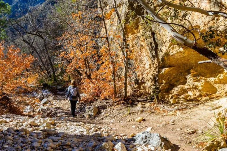 Guadalupe Mountains National Park self-guided driving and walking tour