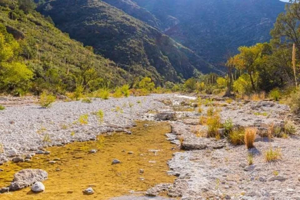 Guadalupe Mountains National Park self-guided driving and walking tour