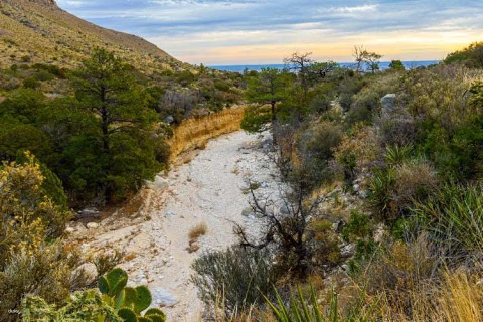 Guadalupe Mountains National Park self-guided driving and walking tour