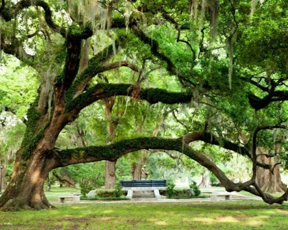 New Orleans City and Cemetery Tour