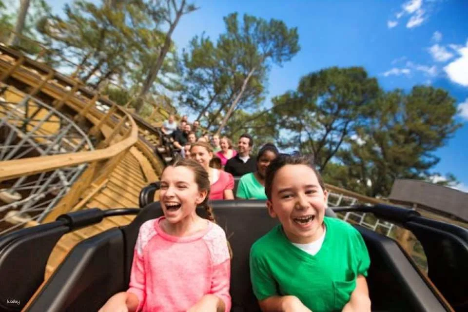 Busch Gardens® Tampa Bay 1-day admission tickets