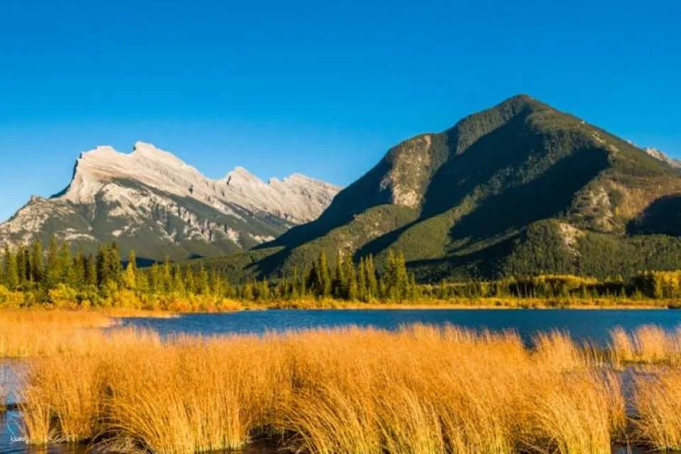 Banff National Park with 7 iconic stops and Lake Minnewanka