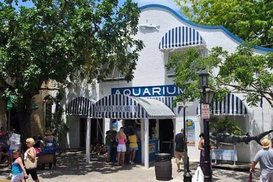 Key West Aquarium tickets
