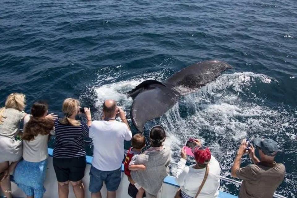 Go City | San Diego Pass with Access to 45+ Attractions